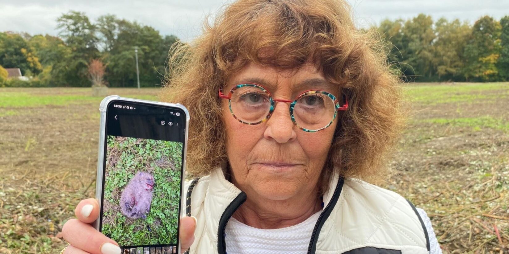 Stadt Herten und E.ON töten beim Grünschnitt zehn Igel