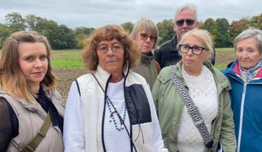 Igel fallen radikalem Kahlschlag zum Opfer