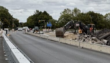 42 Bäume fallen für Fahrspur am Königshalt