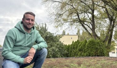 Trotzdem nur wenig Interesse an Dachbegrünung