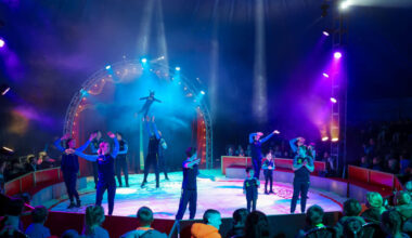 "Zirkusprojekt in Grafenwald: Kinder werden zu Artisten"