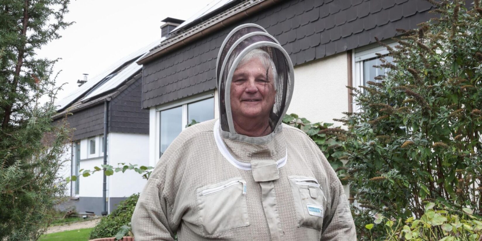 Asiatische Hornisse breitet sich aus – Imker warnt