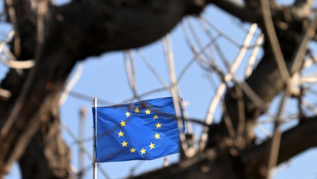 Österreich ist einer von neun Nettozahlern der EU