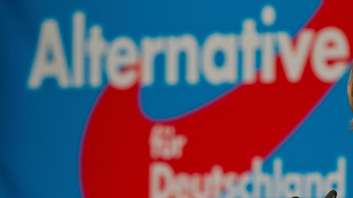 Nach Amtsenthebung des AfD Kreisvorstand beschwert sich der Bezirks- über den Landesvorstand