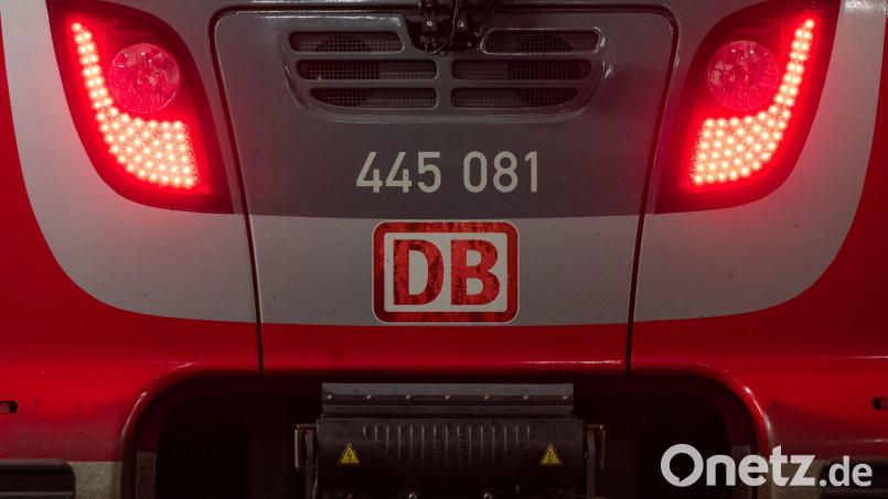 Eine Kollision mit einem Reh hatte in Mittelfranken zu einer kurzzeitigen Sperrung der Bahnstrecke zwischen Emskirchen und Siegelsdorf zur Folge. (Symbolbild) Bild: Peter Kneffel/dpa