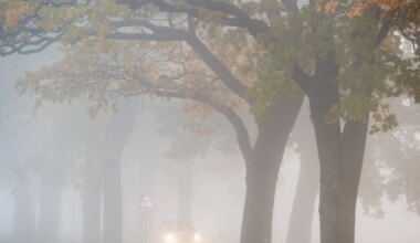 Wetter - Erster nächtlicher Frost in Berlin und Brandenburg möglich - Panorama