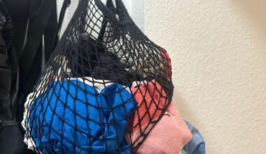 Nosferatu-Spinne in Kölner Wohnung entdeckt: Schockfund
