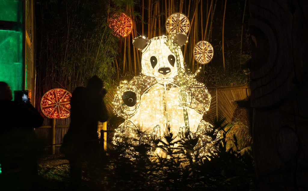 Zur Lumagica in Magdeburg geht es in diesem Jahr "In 80 Tagen um die Welt".