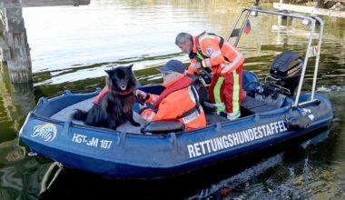 Vermisster Junge aus Güstrow: Leichenhunde schlagen bei Suche nach Fabian an | Regional
