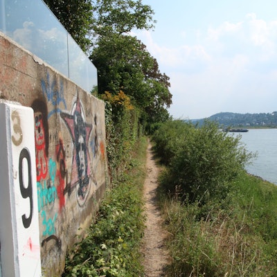 Ein schmaler Pfad, links eine Mauer mit Graffiti, rechts die Böschung zum Rhein.