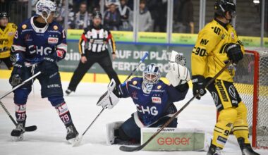 Towerstars vor Duell in Düsseldorf: Spannung garantiert