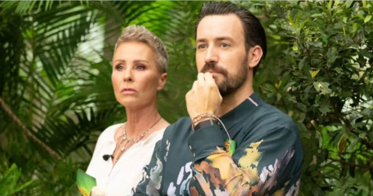 IBES-Gerücht: Trash-Casanova soll ins Dschungelcamp ziehen