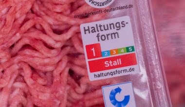 Keine "Stall"-Eigenprodukte mehr: Aldi setzt in Zukunft auf Fleisch aus höheren Haltungsformen