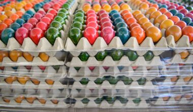 Folgen der Vogelgrippe: Eierpreise in Deutschland könnten weiter steigen