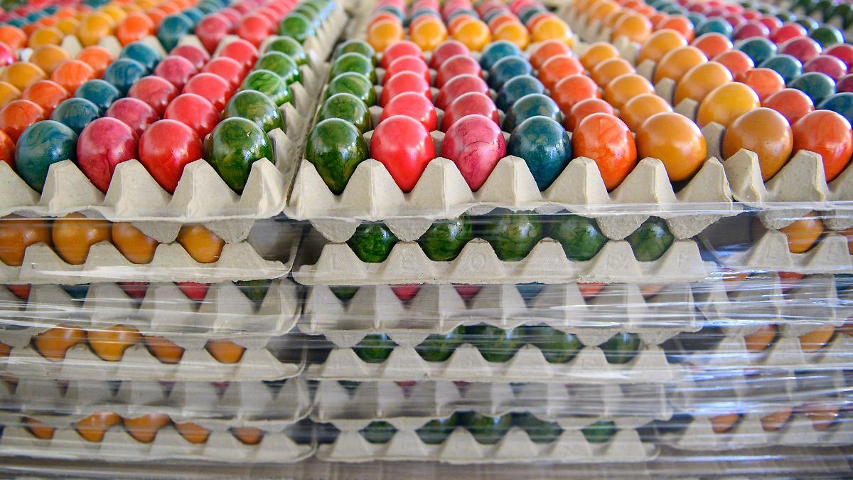 Folgen der Vogelgrippe: Eierpreise in Deutschland könnten weiter steigen