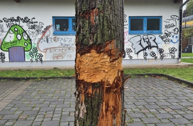 POL-OF: Hinweise erbeten: Wer hat den Baum beschädigt?; Einbrecher nahmen Schmuck und ...