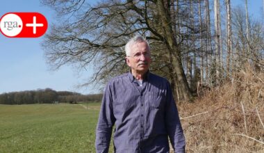 Kinderbücher erscheinen in neuer Optik