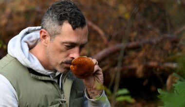 Berlin & Brandenburg: "Der Wald ist einfach eine bullshitfreie Zone"
