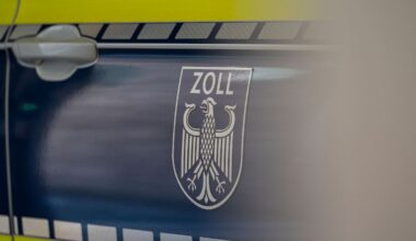 Bayern: Zoll findet sieben lebende Schildkröten in Eiscremeboxen
