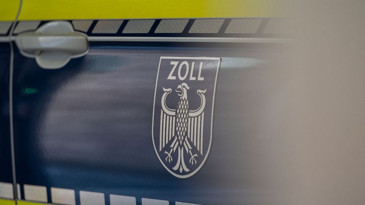 Bayern: Zoll findet sieben lebende Schildkröten in Eiscremeboxen