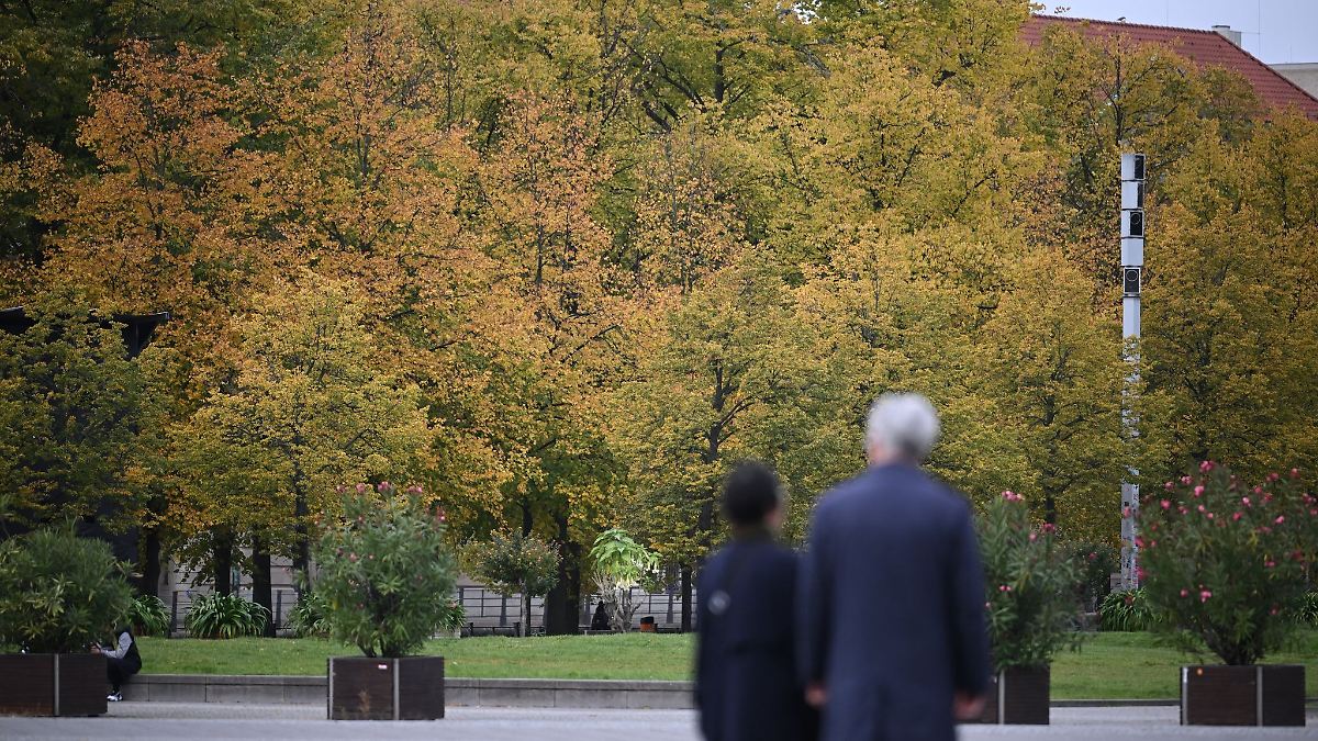 Berlin & Brandenburg: Klimaschutzrat warnt vor Kürzungen im Berliner Haushalt