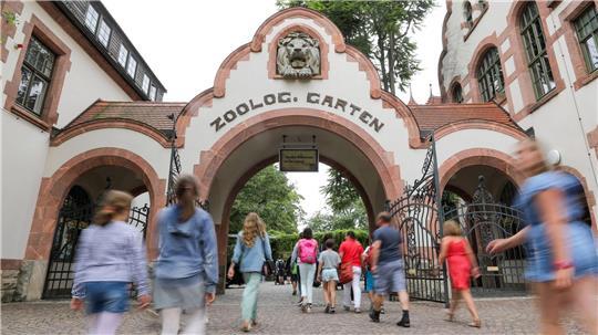 Zoo Leipzig schläfert drei Tigerbabys ein Der Leipziger Zoo hat drei Tigerbabys eingeschläfert. (Archivbild)