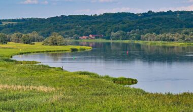 Berlin & Brandenburg: Nationalpark Unteres Odertal feiert 30 Jahre Schutzgebiet
