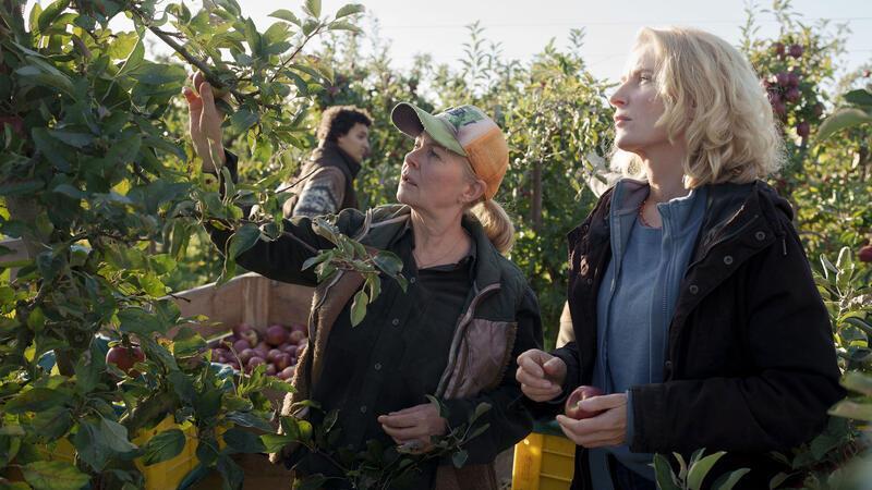 Der aktuelle „Tatort“ mit Maria Furtwängler sorgt für reichlich Gesprächsstoff im Alten Land.