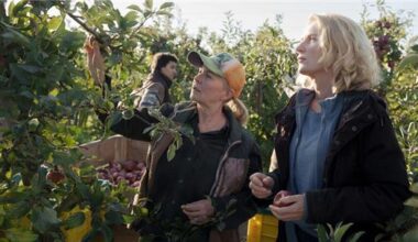 Altländer Obstbauern kritisieren „Tatort“-Folge heftig