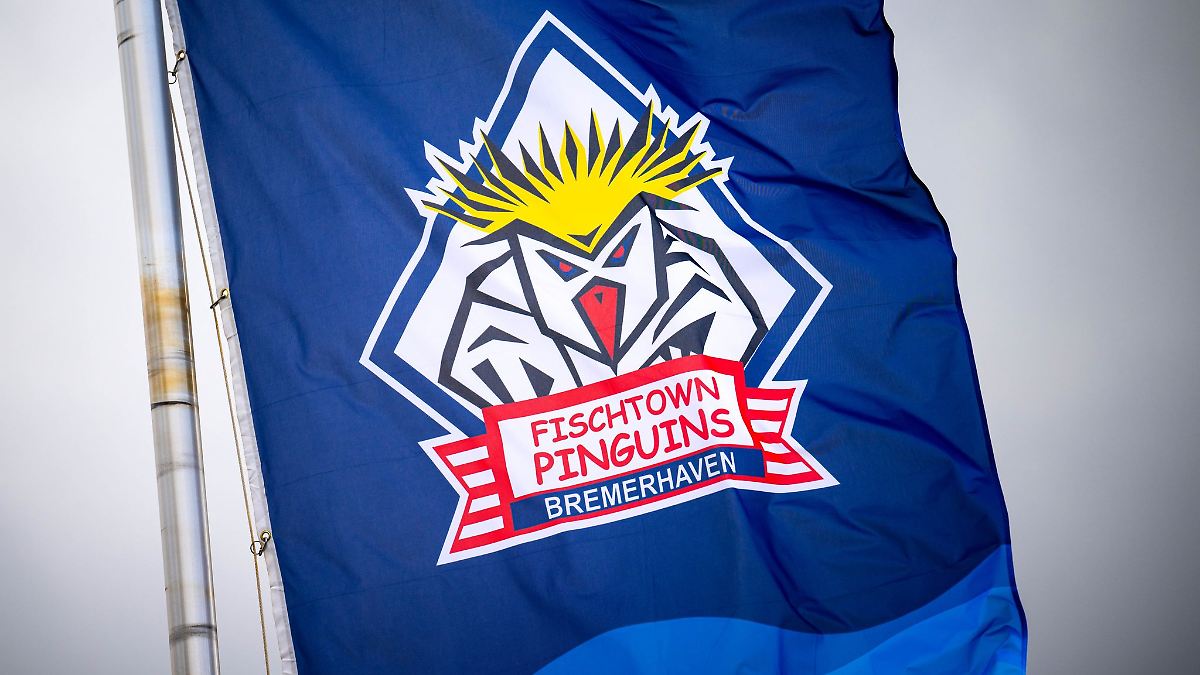 Niedersachsen & Bremen: Bremerhaven verpasst Playoff-Einzug aus eigener Kraft