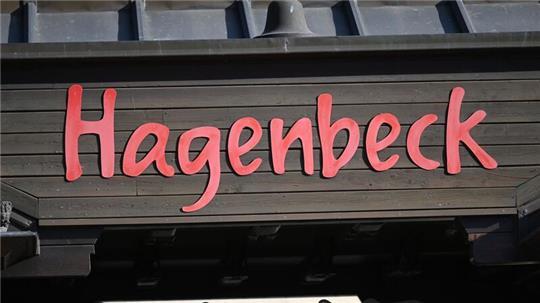 Löwin im Tierpark Hagenbeck gestorben Die Löwin Tembesi aus dem Löwen-Revier des Tierpark Hagenbeck ist gestorben. (Symbolbild)