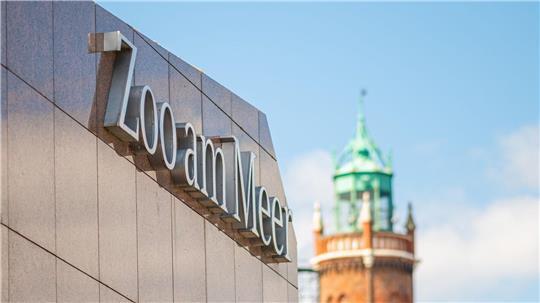 Zoo: Getötetes Schimpansenbaby hatte kaum Überlebenschancen Die Mutter des Jungtiers geht es laut Zoo inzwischen wieder besser. (Archivbild)