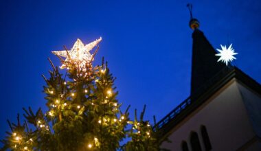 Berlin & Brandenburg: Beelitz spart: Weihnachtsbäume fallen kleiner aus