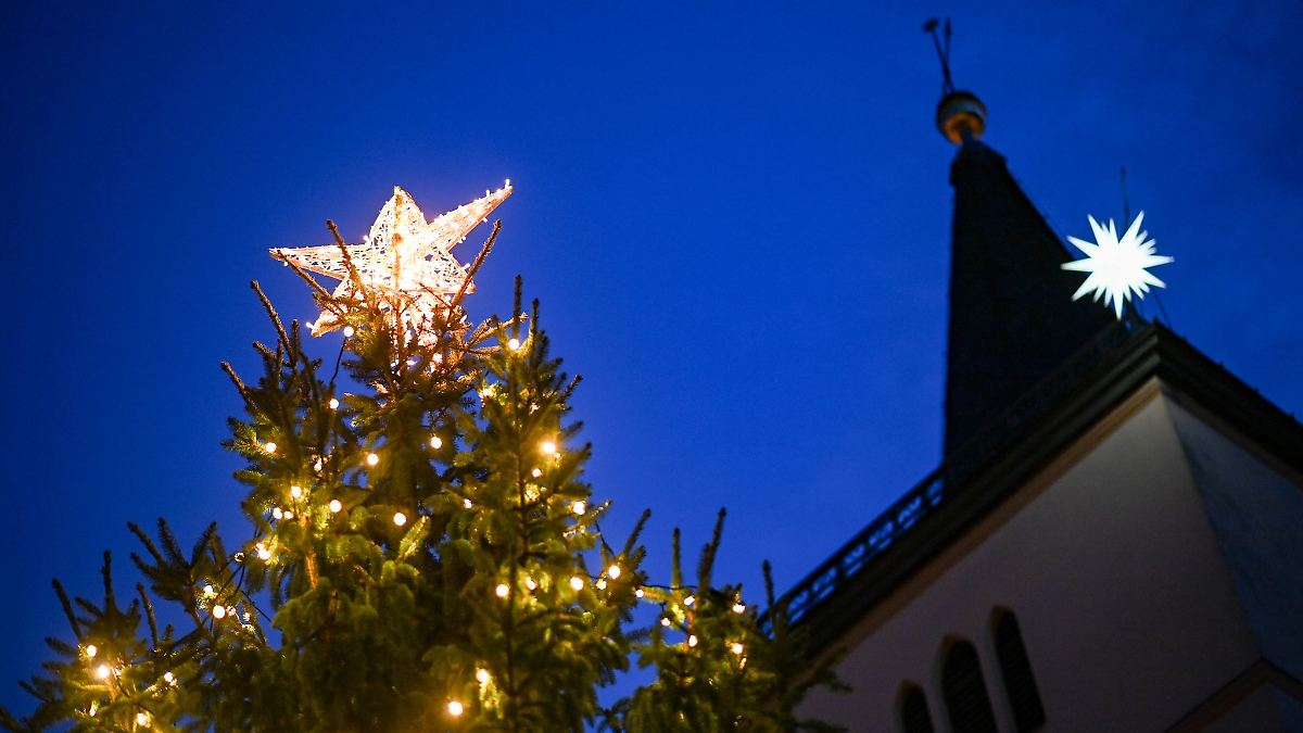Berlin & Brandenburg: Beelitz spart: Weihnachtsbäume fallen kleiner aus