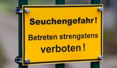 Berlin & Brandenburg: Tote Kraniche in Linum: Einsatz dauert noch Tage