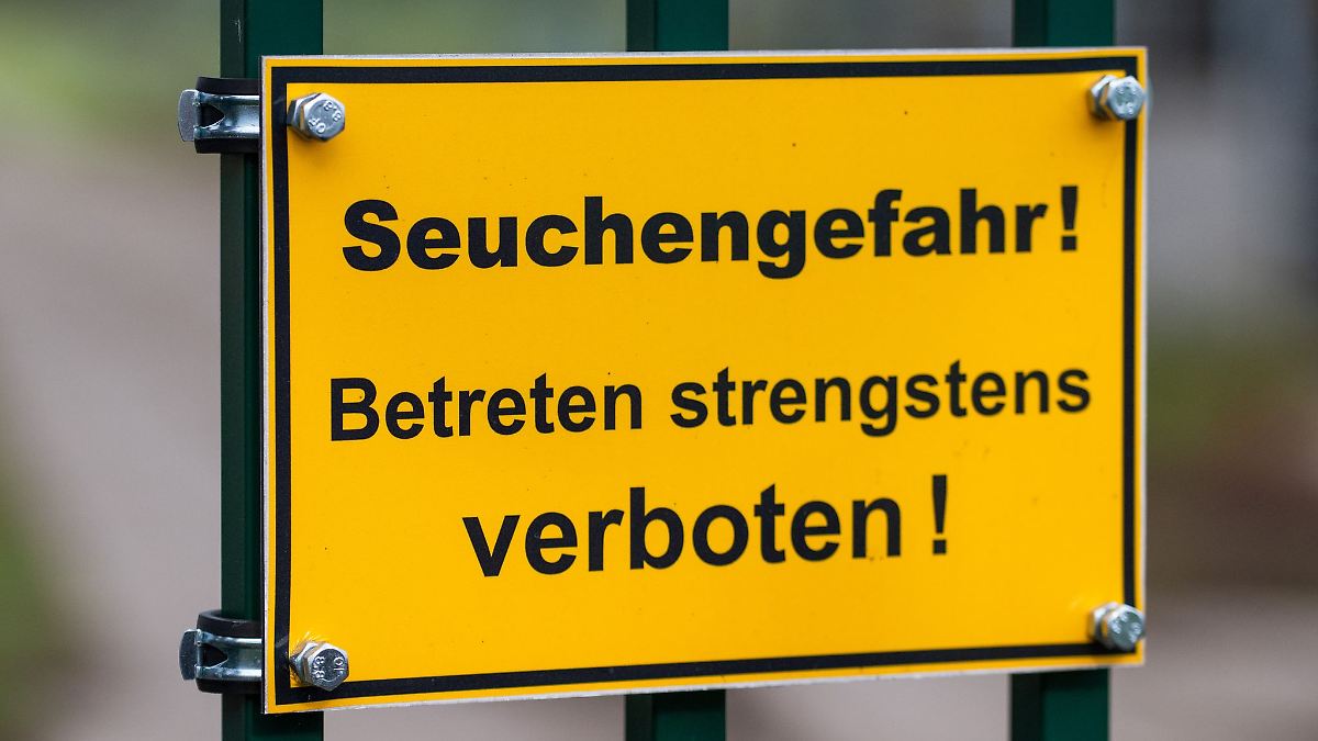 Berlin & Brandenburg: Tote Kraniche in Linum: Einsatz dauert noch Tage