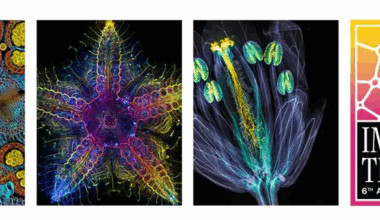 EVIDENT kündigt den sechsten Wettbewerb „Bild des Jahres“ an, EVIDENT Europe GmbH, Story