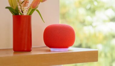 Google Home Speaker neben einer Vase