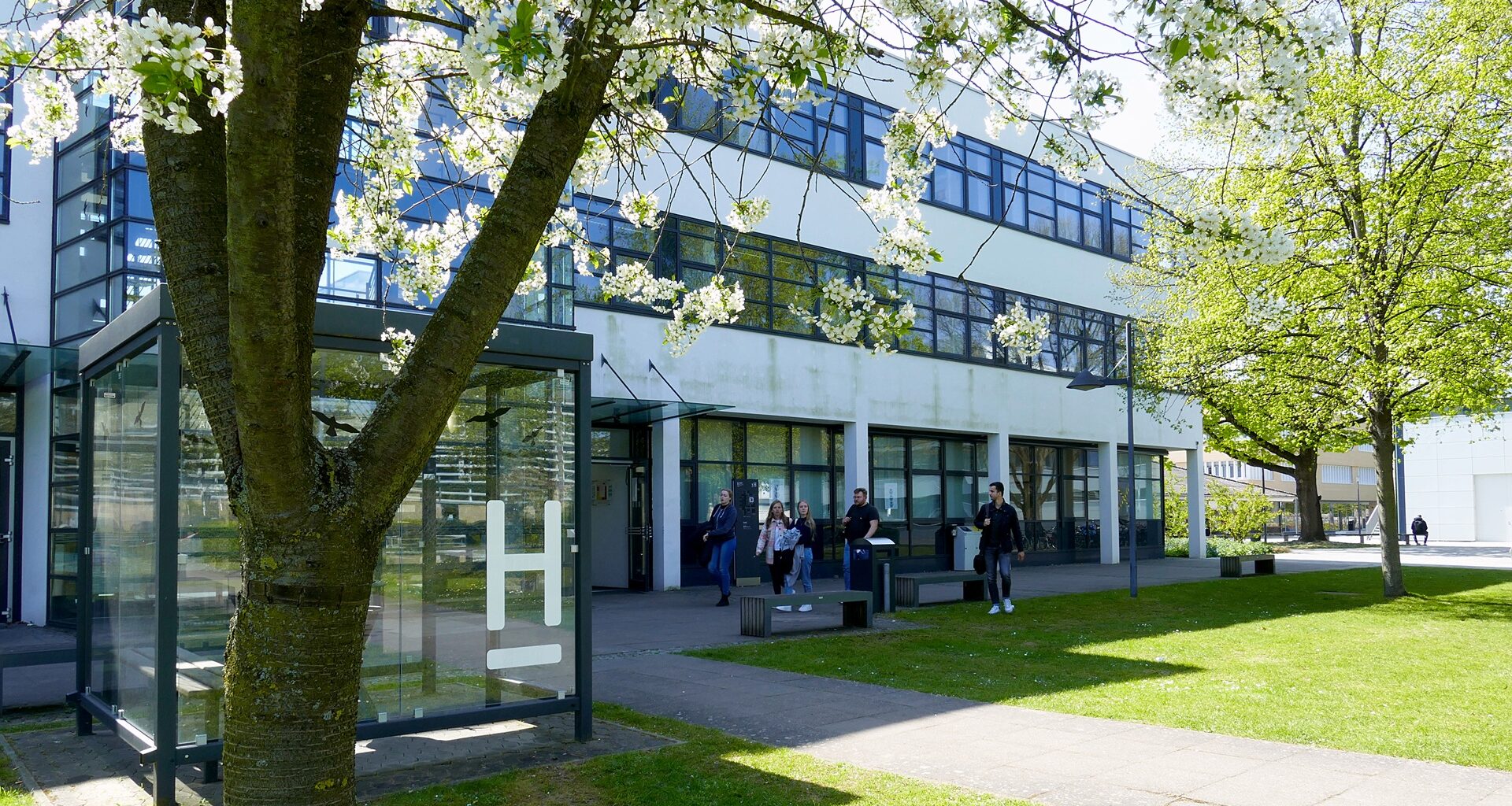 Hochschule Hannover veröffentlicht Nachhaltigkeitsbericht 2025, Hochschule Hannover, Story
