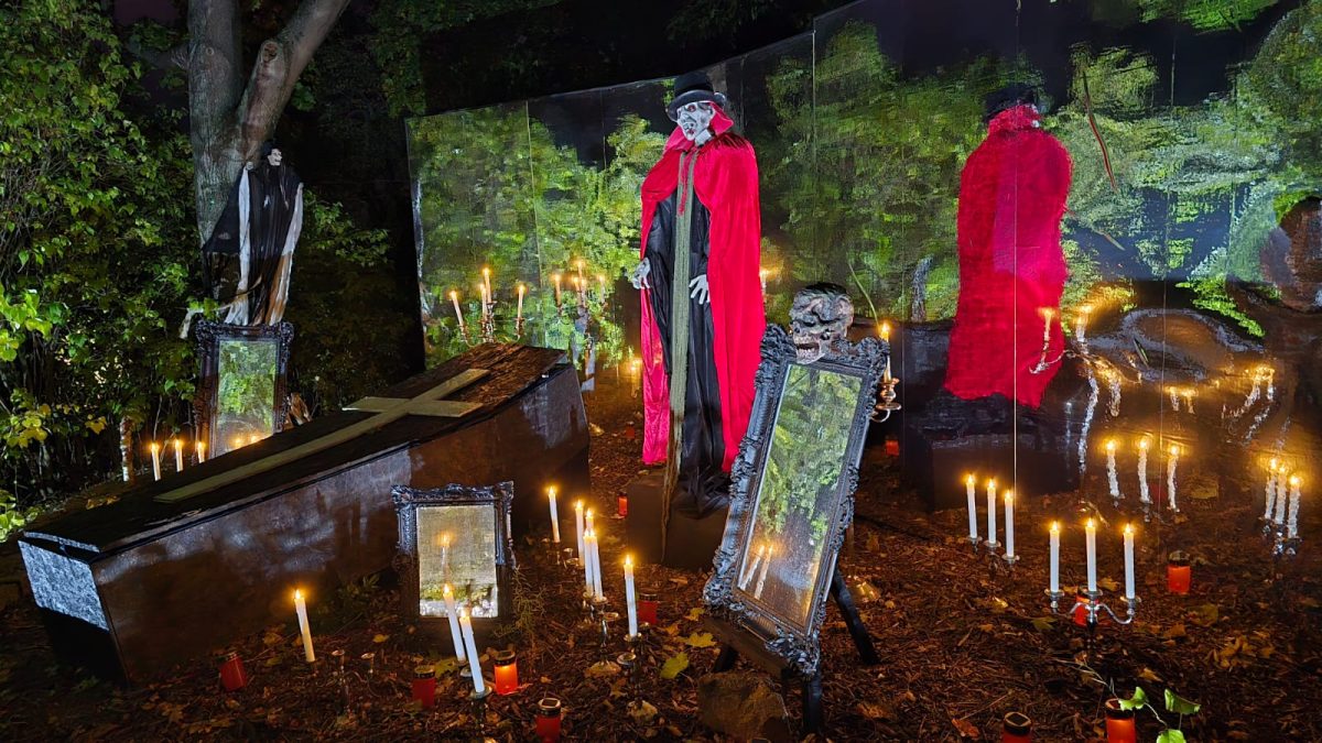Bergzoo in Halle (Saale) verwandelt sich in eine fantastische Gruselwelt – Du bist Halle