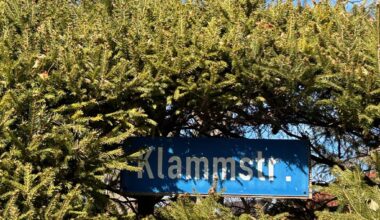 Begrünung von Gebäuden und Vorgärten in Ludwigshafen