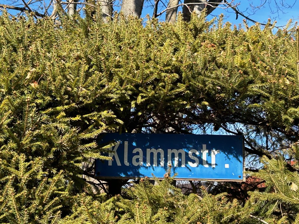 Begrünung von Gebäuden und Vorgärten in Ludwigshafen