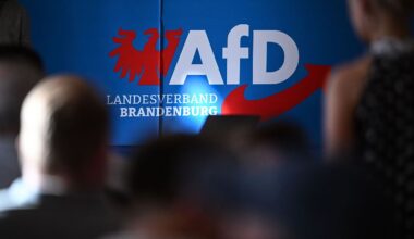 Berlin & Brandenburg: AfD gegen Verfassungsschutz: Gericht verhandelt im Januar