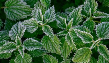 Berlin & Brandenburg: Sonne und Frost am Wochenende in Berlin und Brandenburg