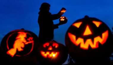 Berlin & Brandenburg: Halloween: Hundeschulen laden zu Gruselspaß und Rätseltouren