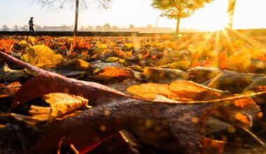 Niedersachsen & Bremen: Milder Herbst – Sonne und Wolken am Wochenende