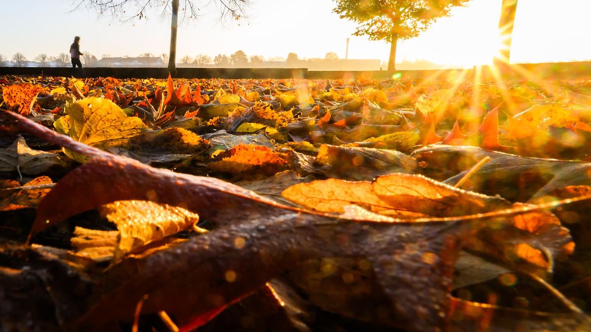 Niedersachsen & Bremen: Milder Herbst – Sonne und Wolken am Wochenende