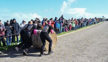 Niedersachsen & Bremen: In Ostfriesland werden "Strohballen-Rollmeister" gesucht