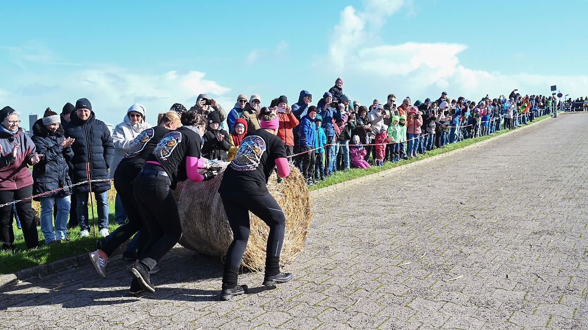 Niedersachsen & Bremen: In Ostfriesland werden "Strohballen-Rollmeister" gesucht