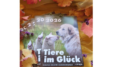 Tierschutz Siebengebirge: Tierfreunde aufgepasst, Kalender ist da